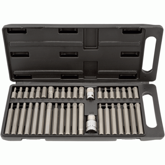 Torx®, Spline and Hex insert bit set Number of items 40 (AvtoDelo) 40640